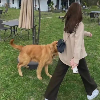 圣母街上的大人物